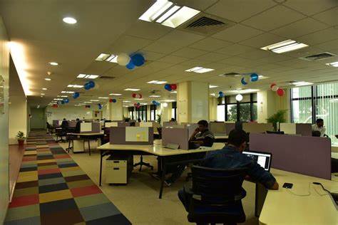 WordPress Developer